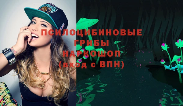метадон Магас