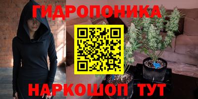 дживик Кинель
