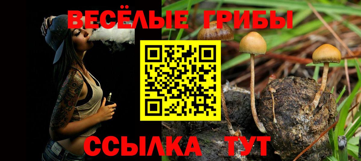 Галлюциногенные грибы MAGIC MUSHROOMS  Вход с VPN  Нижневартовск  Псилоцибиновые грибы ЛСД 